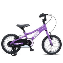 Vaikiškas dviratis GoKidy 14" Dude (DUD.1404), violetinis kaina ir informacija | Dviračiai | pigu.lt