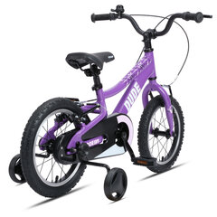 Vaikiškas dviratis GoKidy 14" Dude (DUD.1404), violetinis kaina ir informacija | Dviračiai | pigu.lt