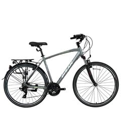 Turistinis dviratis Bisan 28" TRX8100 City (PR10010427) 20, šviesiai pilkas/žalias kaina ir informacija | Dviračiai | pigu.lt