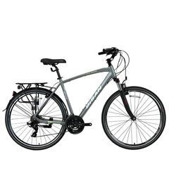 Turistinis dviratis Bisan 28" TRX8100 City (PR10010427) 22, šviesiai pilkas/žalias kaina ir informacija | Dviračiai | pigu.lt