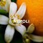 Kvapioji žvakė Holistic London Apelsinų žiedai (neroli) + ramunėlės, 180 ml kaina ir informacija | Žvakės, Žvakidės | pigu.lt