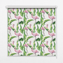 Roletas Flamingos ant lapų, 60x140 cm kaina ir informacija | Roletai | pigu.lt