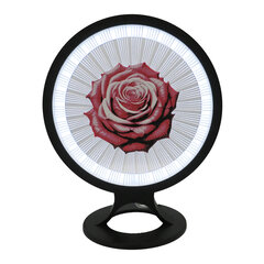 3Dgaminiai stalinis šviestuvas Rožė, su plastiko gijomis цена и информация | Настольные светильники | pigu.lt