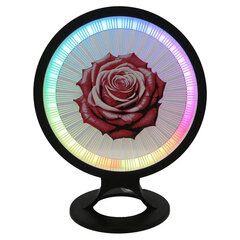 3Dgaminiai stalinis šviestuvas Rožė, su plastiko gijomis kaina ir informacija | Staliniai šviestuvai | pigu.lt