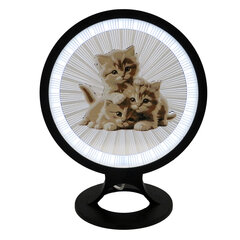 3Dgaminiai stalinis šviestuvas Kačiukai, su plastiko gijomis цена и информация | Настольные светильники | pigu.lt