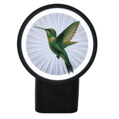 3Dgaminiai sieninis šviestuvas Kolibris, su plastiko gijomis цена и информация | Настенные светильники | pigu.lt