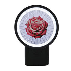 3Dgaminiai sieninis šviestuvas Rožė, su plastiko gijomis kaina ir informacija | Sieniniai šviestuvai | pigu.lt