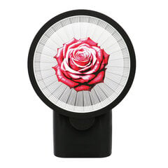 3Dgaminiai sieninis šviestuvas Rožė, su plastiko gijomis kaina ir informacija | Sieniniai šviestuvai | pigu.lt