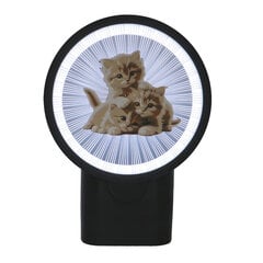 3Dgaminiai sieninis šviestuvas Kačiukai, su plastiko gijomis kaina ir informacija | Sieniniai šviestuvai | pigu.lt