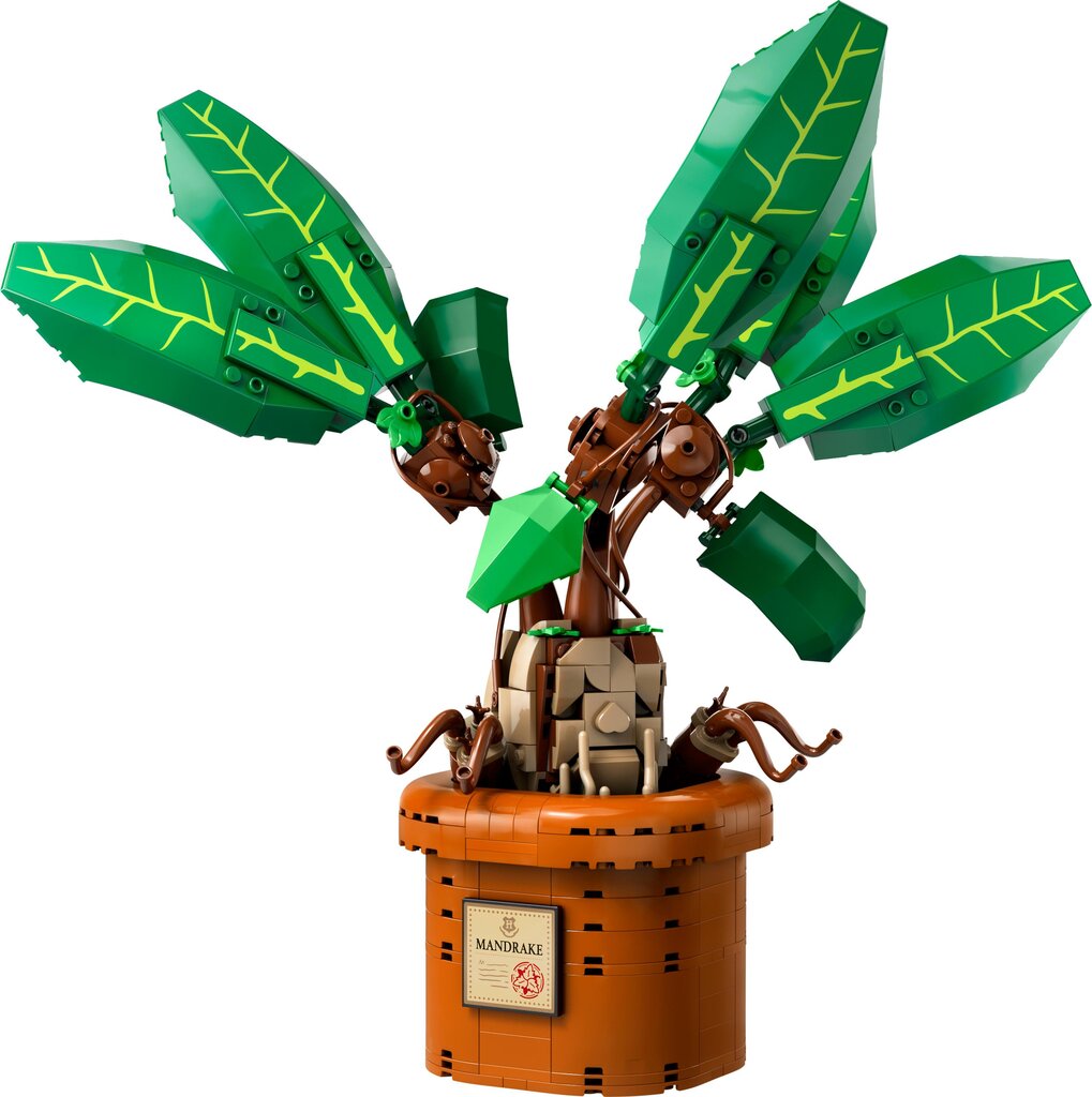 76433 LEGO® Harry Potter Mandragora kaina ir informacija | Konstruktoriai ir kaladėlės | pigu.lt