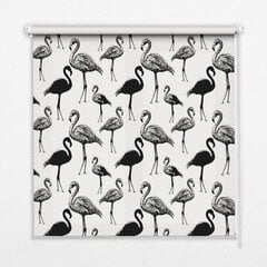 Roletas Juodieji flamingai, 80x140 cm kaina ir informacija | Roletai | pigu.lt