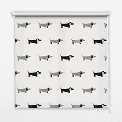 Roletas Piešti šunys, 90x140 cm kaina ir informacija | Roletai | pigu.lt