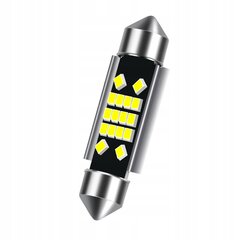 Automobilių lemputės Xstorm, 36 mm цена и информация | Автомобильные лампочки | pigu.lt
