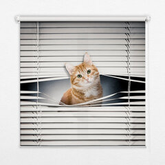 Roletas Raudona katė, 120x140 cm kaina ir informacija | Roletai | pigu.lt