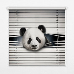 Roletas Panda, 120x140 cm kaina ir informacija | Roletai | pigu.lt