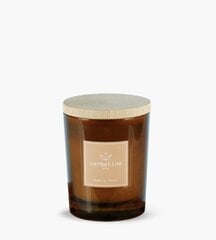 Carbaline parfumuota sojų vaško žvakė Caramelized Vanilla 170 g цена и информация | Подсвечники, свечи | pigu.lt