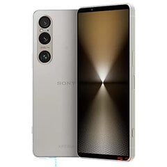 Sony Xperia 1 VI 12/256GB Platinum Gray kaina ir informacija | Mobilieji telefonai | pigu.lt