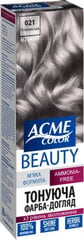 ACME Color Beauty matu krāsa-gels 021 pelnu цена и информация | Краска для волос | pigu.lt