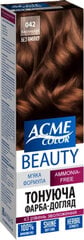 ACME Color Beauty matu krāsa-gels 042 kastaņbrūns цена и информация | Краска для волос | pigu.lt