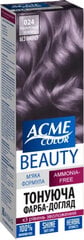 ACME Color Beauty matu krāsa-gels 024 purpura koraļļi цена и информация | Краска для волос | pigu.lt