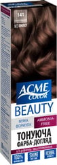 ACME Color Beauty matu krāsa-gels 141 šokolāde цена и информация | Краска для волос | pigu.lt