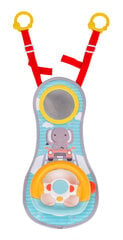Interaktyvus vairuotojo rinkinys Vivakids kaina ir informacija | Žaislai kūdikiams | pigu.lt