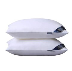 Linenspa pagalvė, 2 vnt. цена и информация | Подушки | pigu.lt