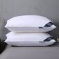 Linenspa pagalvė, 2 vnt. kaina ir informacija | Pagalvės | pigu.lt