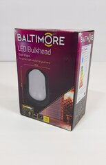 Baltimore fasadinis šviestuvas 600 lm kaina ir informacija | Pakabinami šviestuvai | pigu.lt