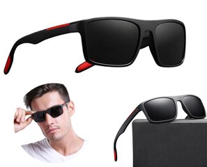 Poliarizuoti akiniai nuo saulės vyrams V16 juodi kaina ir informacija | Akiniai nuo saulės vyrams | pigu.lt