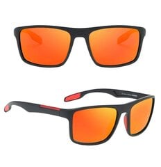 Солнцезащитные очки с поляризацией для мужчин V3, черный цена и информация | Легкие и мощные прозрачные защитные очки для велосипедов | pigu.lt