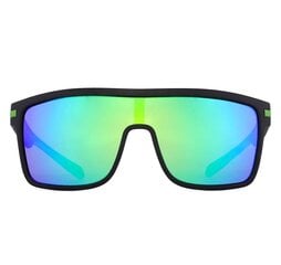 Poliarizuoti akiniai nuo saulės vyrams D1 kaina ir informacija | Akiniai nuo saulės vyrams | pigu.lt