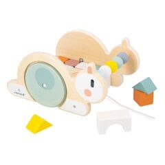 JANOD SWC Тележка с кубиками на верёвочке, улитка цена и информация | Игрушки для малышей | pigu.lt