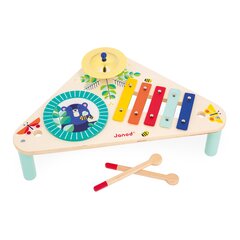 JANOD GIOIA Деревянный музыкальный столик цена и информация | Игрушки для малышей | pigu.lt