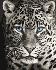 Tapyba pagal skaičius Wizardi Mėlynaakis leopardas, 40x50 cm kaina ir informacija | Tapyba pagal skaičius | pigu.lt