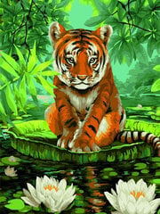 Tapyba pagal skaičius Wizardi Tigras ir vandens lelijos, 40x50 cm kaina ir informacija | Tapyba pagal skaičius | pigu.lt