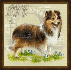 Siuvinėjimo kryželiu rinkinys Riolis Sheltie, 25x25 cm kaina ir informacija | Siuvinėjimo priemonės | pigu.lt