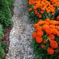 Vejos apvadas-bordiūras Gardenplius 20m x 4cm + 40inkarų kaina ir informacija | Tvoros ir jų priedai | pigu.lt