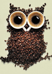 Deimantinė mozaika Wizardi Coffee Owl, 20x30 cm kaina ir informacija | Deimantinės mozaikos | pigu.lt