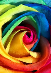 Deimantinės mozaikos rinkinys Wizardi Rainbow Rose, 20x30 cm kaina ir informacija | Deimantinės mozaikos | pigu.lt