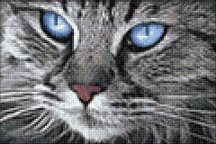 Deimantinė mozaika Wizardi Blue-Eyed Cat, 30x20 cm kaina ir informacija | Deimantinės mozaikos | pigu.lt