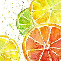 Deimantinė mozaika Wizardi Citrus Mix, 20x20 cm kaina ir informacija | Deimantinės mozaikos | pigu.lt