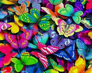 Deimantinės mozaikos rinkinys Wizardi Rainbow Butterflies, 48x38 cm kaina ir informacija | Deimantinės mozaikos | pigu.lt