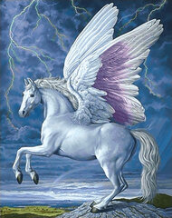 Deimantinės mozaikos rinkinys Wizardi Pegasus, 38x48 cm kaina ir informacija | Deimantinės mozaikos | pigu.lt
