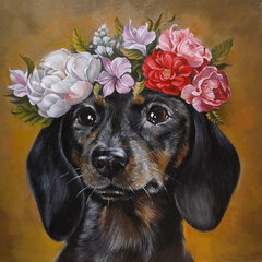 Deimantinė mozaika Wizardi Dachshund in Flowers, 38x38 cm kaina ir informacija | Deimantinės mozaikos | pigu.lt