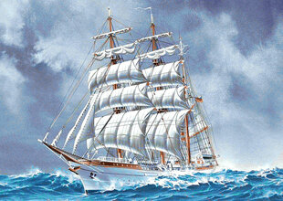 Deimantinės mozaikos rinkinys Wizardi Sailing Ship, 38x27 cm kaina ir informacija | Deimantinės mozaikos | pigu.lt