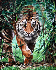 Deimantinė mozaika Wizardi Dangerous Tiger, 40x50 cm kaina ir informacija | Deimantinės mozaikos | pigu.lt