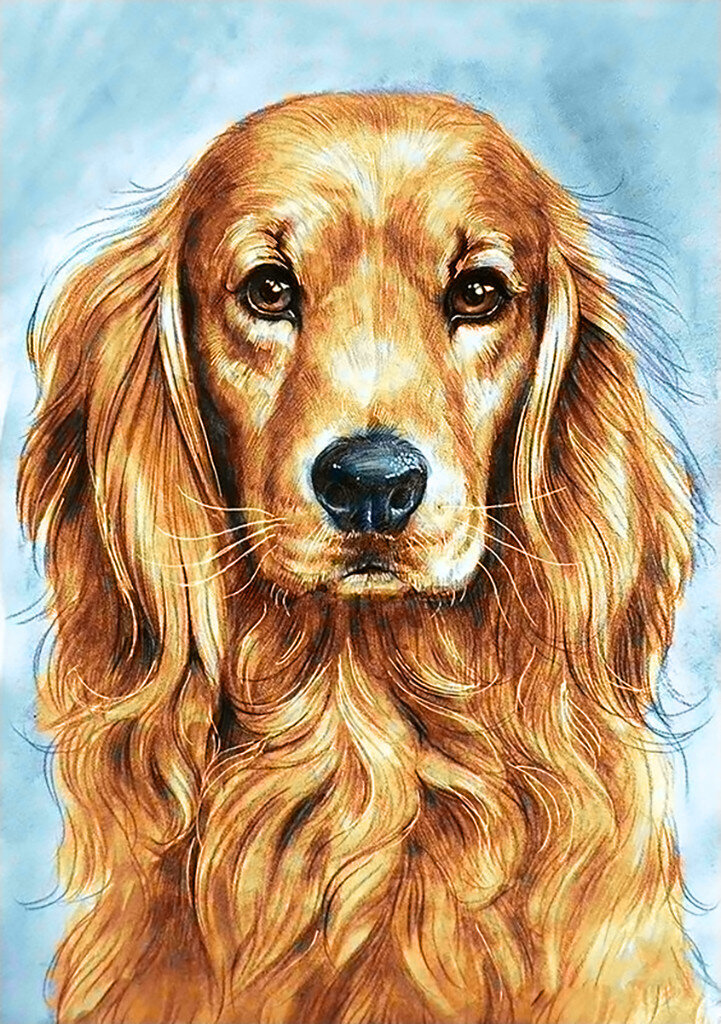 Deimantinė mozaika Wizardi Faithful Dog, 20x30 cm цена и информация | Deimantinės mozaikos | pigu.lt