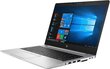 HP EliteBook 745 G6 14", AMD Ryzen 5 PRO 3500U, 8GB, 256GB SSD, be OS, Sidabrinis kaina ir informacija | Nešiojami kompiuteriai | pigu.lt