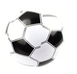 Футбольный мяч для игры на воде, Electronics LV-1087, черно- белый, 1 шт. цена и информация | Игрушки для малышей | pigu.lt